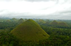 Chocolate Hills - Schokohügel