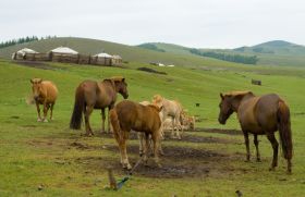 Mongolei Aktiv Reise