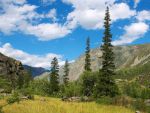 Altay Gebirge