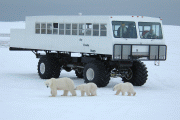 Tundra Buggy