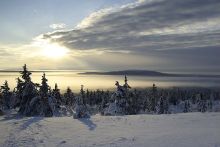 Landschaft um Harriniva