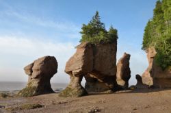 Hopewell Rocks