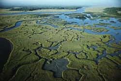 Everglades