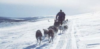Huskytour
