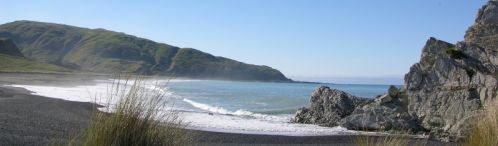 Neuseeland Küste