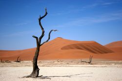 Namibia Sossusvlei